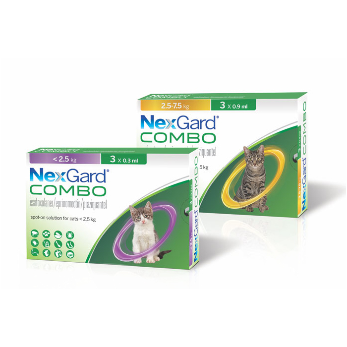 NexGard Combo rácsepegtető oldat macskáknak